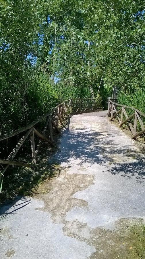 B&B Mellon Colli del Tronto Buitenkant foto